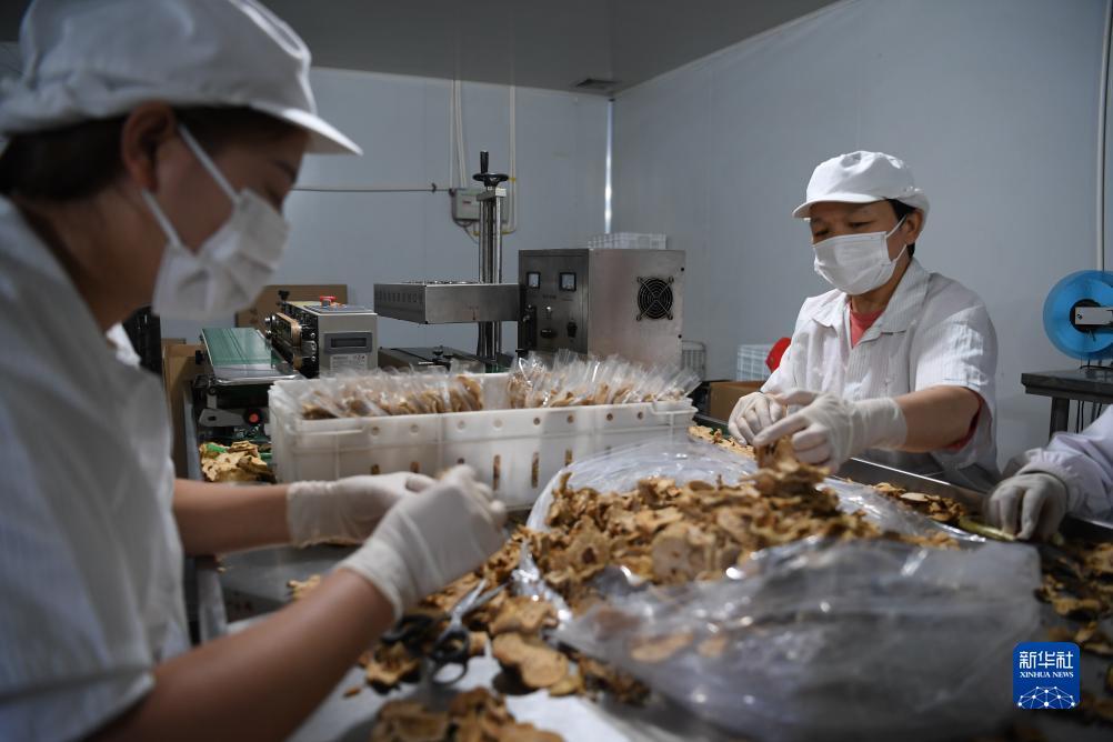 幸运集团菲律宾