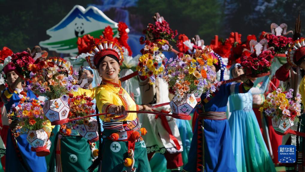 现金打鱼50场